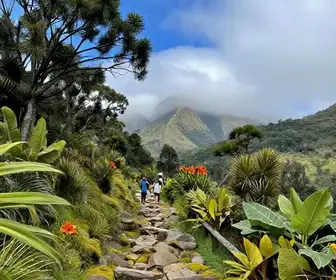 As Melhores Trilhas Fáceis para Explorar em Campos do Jordão As Melhores Trilhas Fáceis para Explorar em Campos do Jordão