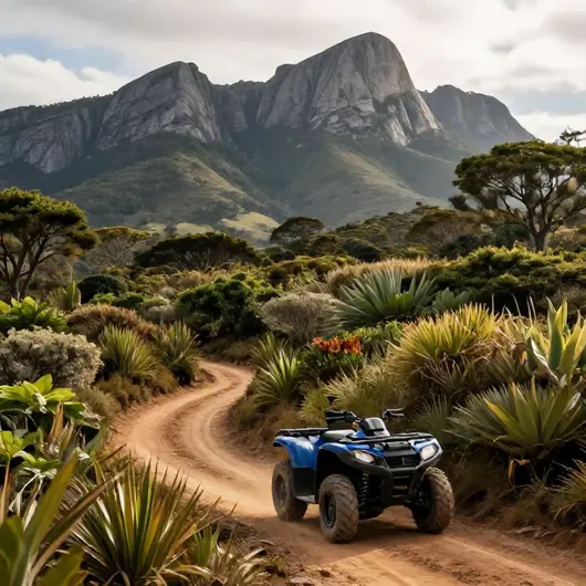 Campos do Jordão Quadriciclo Nextor Park: Aventura em Duas Rodas
