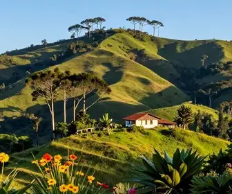Descubra a Altitude de Campos do Jordão: O que Você Precisa Saber Descubra a Altitude de Campos do Jordão: O que Você Precisa Saber