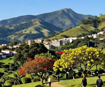 Descubra Campos do Jordão na Primavera: Um Guia Completo para a Estação das Flores Descubra Campos do Jordão na Primavera: Um Guia Completo para a Estação das Flores