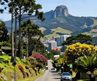 Descubra Como Chegar a Campos do Jordão de Forma Prática