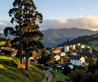 Descubra o Melhor Roteiro Fotográfico em Campos do Jordão