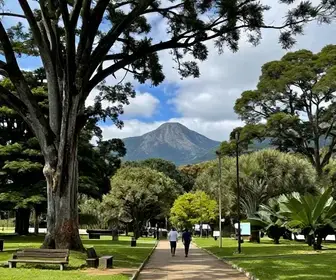 Descubra o Parque da Lagoinha em Campos do Jordão Descubra o Parque da Lagoinha em Campos do Jordão