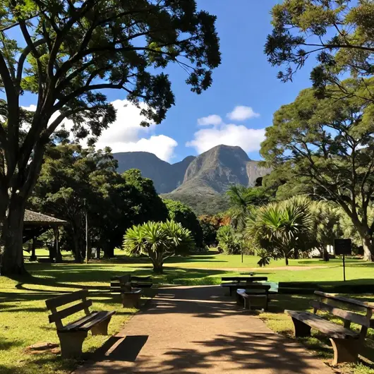 Descubra o Parque Estadual Campos do Jordão