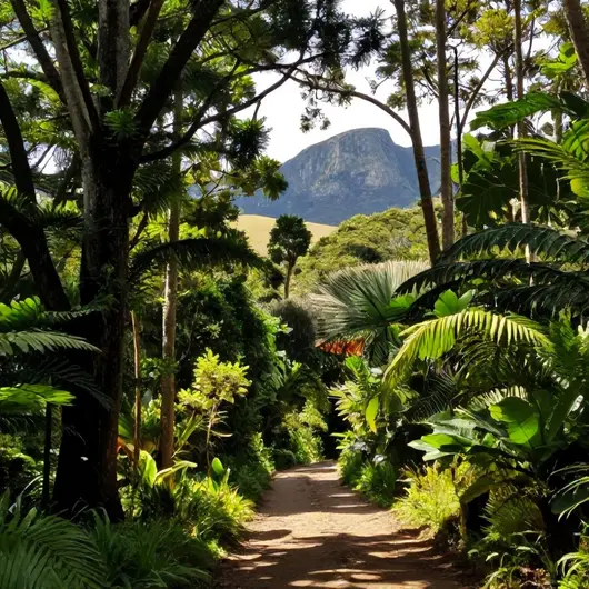 Descubra o Parque Estadual Campos do Jordão Descubra o Parque Estadual Campos do Jordão