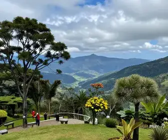 Descubra o Parque Pico do Itapeva: O Mirante Imperdível de Campos do Jordão