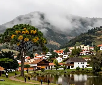 Descubra o que Fazer em Campos do Jordão em Julho