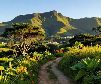 Descubra o Que Fazer em São Francisco Xavier: O Destino Perfeito para sua Viagem