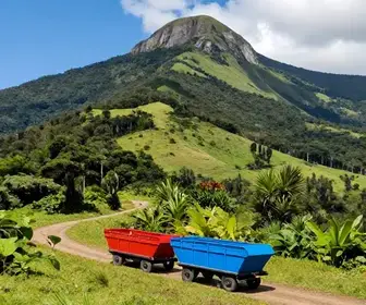 Descubra o Trenó da Montanha em Campos do Jordão