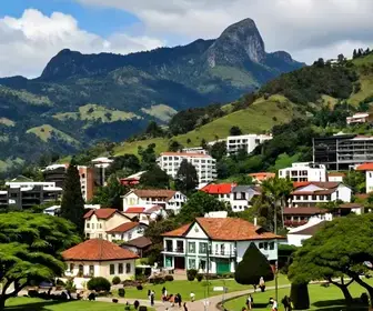 Entenda a Alta e Baixa Temporada em Campos do Jordão
