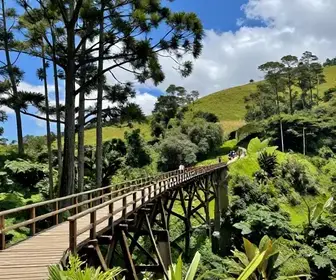 Explorando a Trilha das 3 Pontes em Campos do Jordão: Um Guia Completo Explorando a Trilha das 3 Pontes em Campos do Jordão: Um Guia Completo