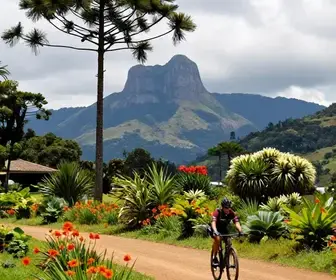 Explorando as Ciclovias de Campos do Jordão: Um Guia Completo