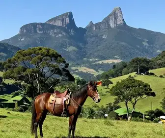 Explorando Campos do Jordão a Cavalo: Uma Aventura Inesquecível