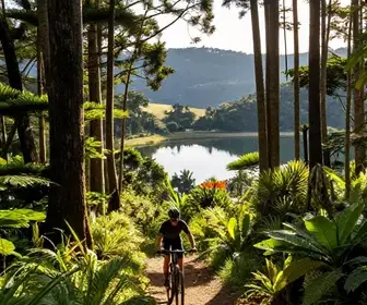 Explorando o Ciclismo em Campos do Jordão: Roteiros e Dicas Explorando o Ciclismo em Campos do Jordão: Roteiros e Dicas