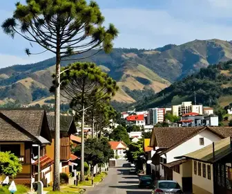 Locadoras de Carros: Dicas para Explorar Campos do Jordão