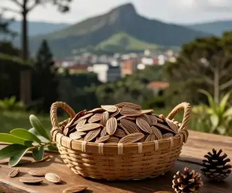 Melhores Locais para Comprar Pinhão em Campos do Jordão