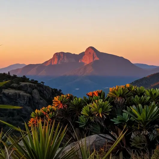 Mirante Mantiqueira: Uma Vista Deslumbrante das Montanhas Mirante Mantiqueira: Uma Vista Deslumbrante das Montanhas