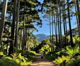 Os 8 melhores parques e trilhas em Campos do Jordão: um guia completo